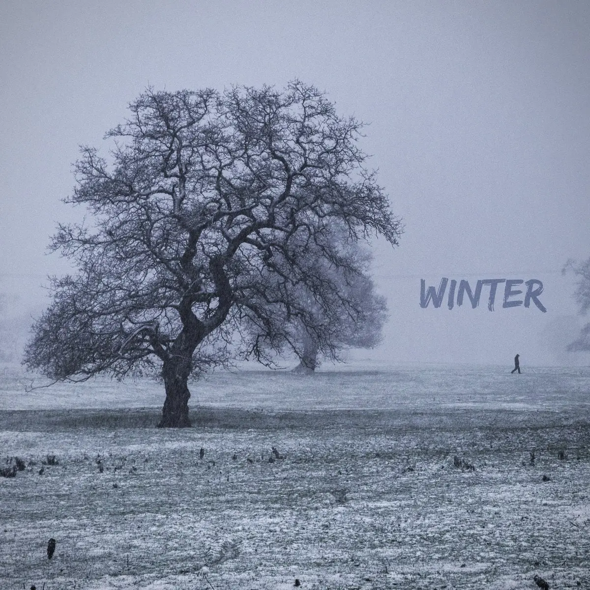 Winter: a bare oak in a snowy field, with one figure walking in the fog.